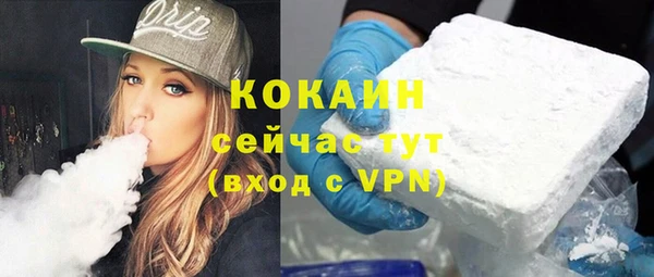 PSILOCYBIN Ельня