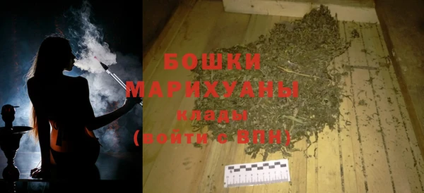 PSILOCYBIN Ельня