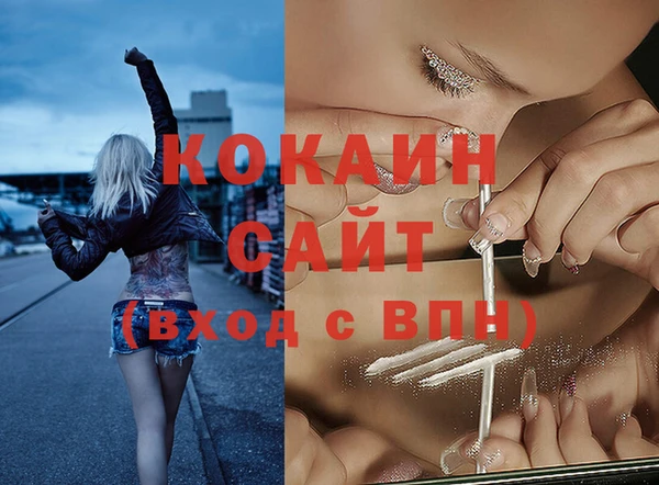 PSILOCYBIN Ельня