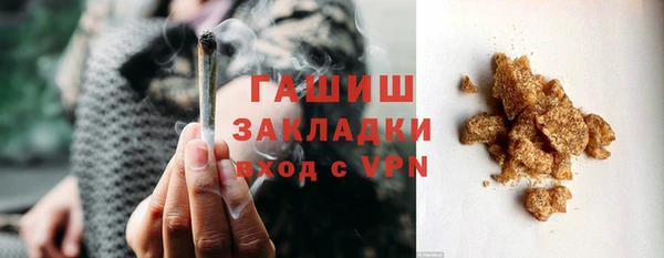 PSILOCYBIN Ельня