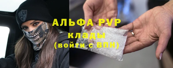 PSILOCYBIN Ельня