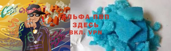 PSILOCYBIN Ельня