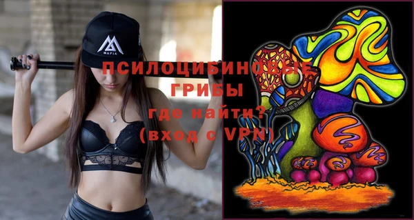 не бодяженный Елабуга
