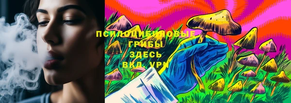 MESCALINE Елизово