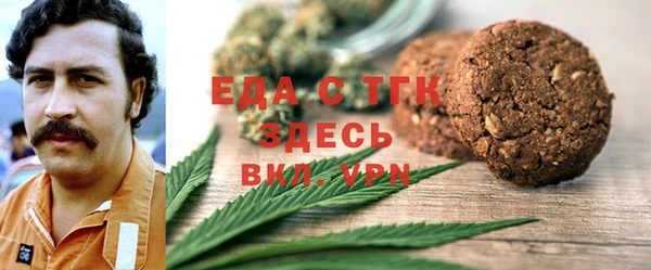 PSILOCYBIN Ельня