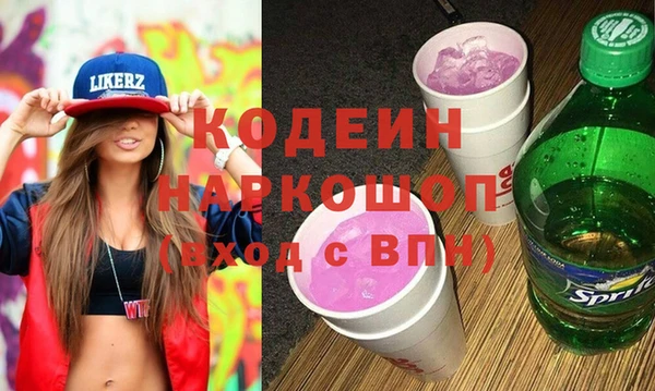PSILOCYBIN Ельня