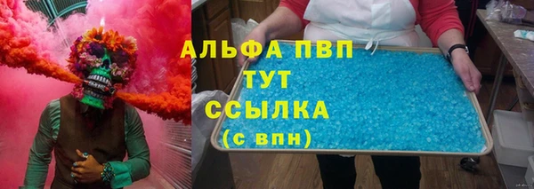 PSILOCYBIN Ельня